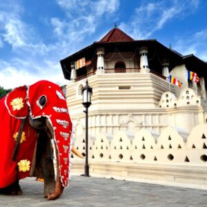 Sri Lanka – (07 Nights/08 Days)