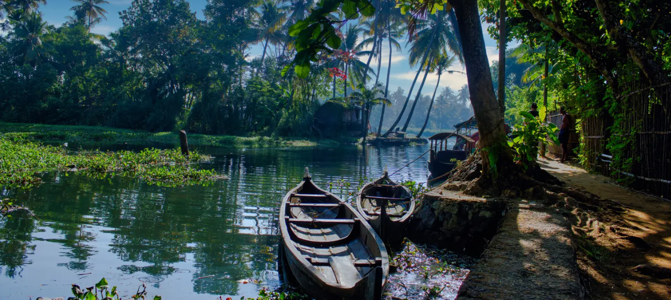 Best Monsoon Escapes for Senior Citizens in India: Relax, Refresh, and Reconnect with Nature